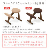 【公式アンバサダー専用注文ページ】ラクに姿勢がよくなる椅子|バランスラボ バランス イージー