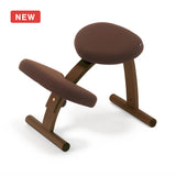 【2026年分予約販売】ラクに姿勢がよくなる椅子|バランス イージー バランスラボ