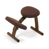 【公式アンバサダー専用注文ページ】ラクに姿勢がよくなる椅子|バランスラボ バランス イージー