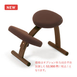 【公式アンバサダー専用注文ページ】ラクに姿勢がよくなる椅子|バランスラボ バランス イージー