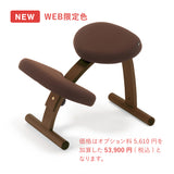 ラクに姿勢がよくなる椅子|バランス イージー バランスラボ