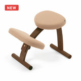 【2026年分予約販売】ラクに姿勢がよくなる椅子|バランス イージー バランスラボ