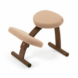 【公式アンバサダー専用注文ページ】ラクに姿勢がよくなる椅子|バランスラボ バランス イージー