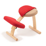 バランス イージー専用|プレミアムニットカバーnew バランスラボ