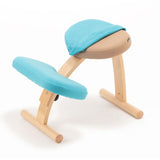 バランス イージー専用|プレミアムニットカバーnew バランスラボ