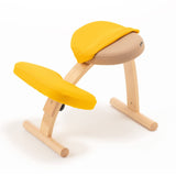 バランス イージー専用|プレミアムニットカバーnew バランスラボ