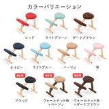 【公式アンバサダー専用注文ページ】ラクに姿勢がよくなる椅子|バランスラボ バランス イージー