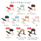 ラクに姿勢がよくなる椅子|バランス イージー バランスラボ