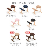 【2026年分予約販売】ラクに姿勢がよくなる椅子|バランス イージー バランスラボ