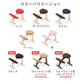 ラクに姿勢がよくなる椅子|バランス イージー バランスラボ
