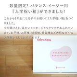 【2026年分予約販売】ラクに姿勢がよくなる椅子|バランス イージー バランスラボ