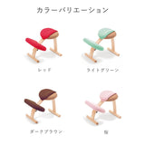 【公式アンバサダー専用注文ページ】バランス イージー専用|きせかえカバーnew バランスラボ