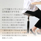 腰痛対策椅子|バランス シナジー バランスラボ