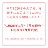 【2026年分予約販売】ラクに姿勢がよくなる椅子|バランス イージー バランスラボ