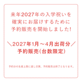 【2027年分予約販売】ラクに姿勢がよくなる椅子|バランス イージー バランスラボ