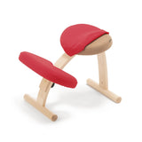 【公式アンバサダー専用注文ページ】バランス イージー専用|きせかえカバーnew バランスラボ