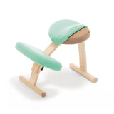 【公式アンバサダー専用注文ページ】バランス イージー専用|きせかえカバーnew バランスラボ