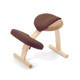 【公式アンバサダー専用注文ページ】バランス イージー専用|きせかえカバーnew バランスラボ