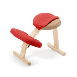 バランス イージー専用|はっ水カバー バランスラボ