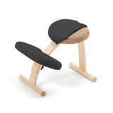 バランス イージー専用|はっ水カバー バランスラボ