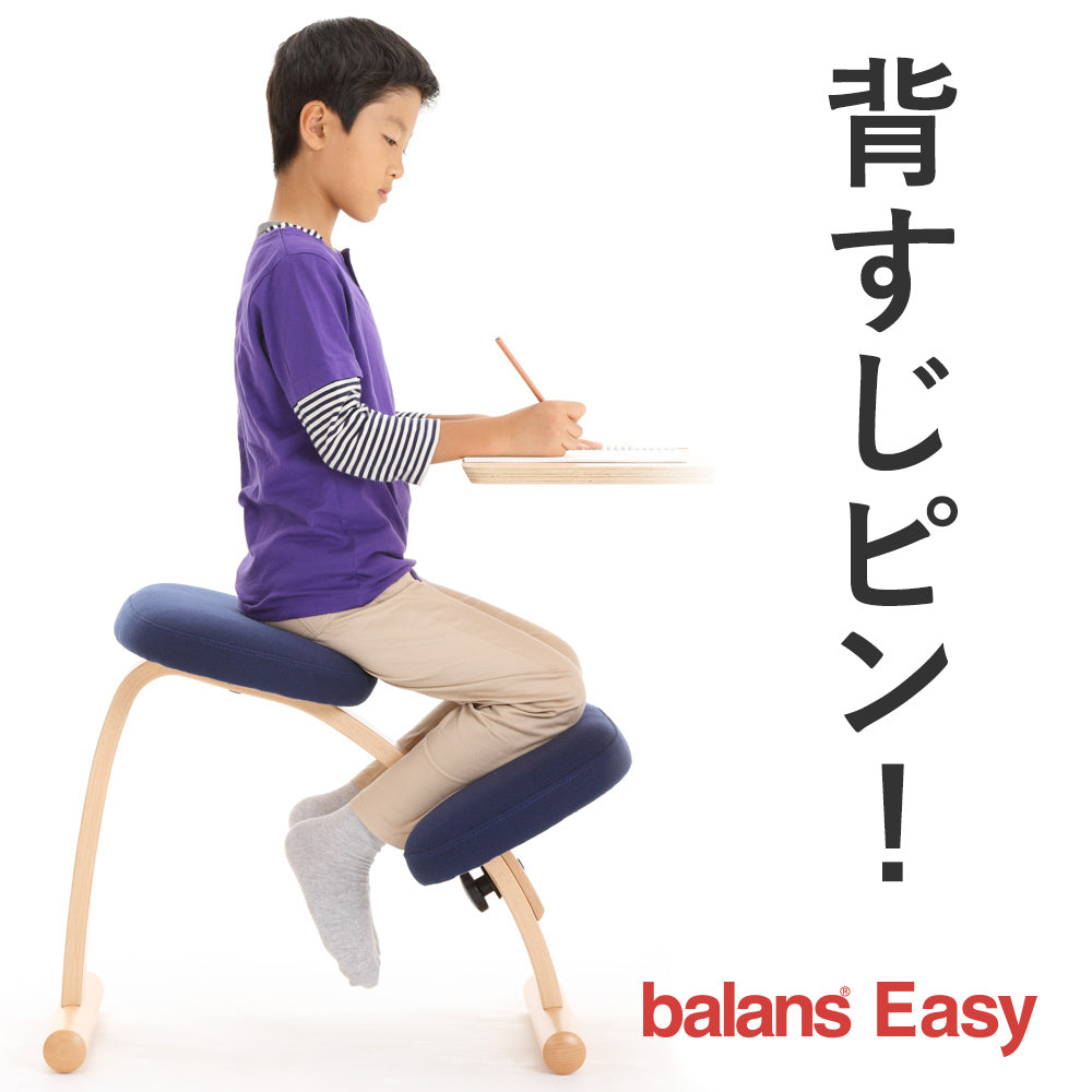 商品一覧 – バランスチェアのbalans lab (バランスラボ) 公式サイト