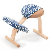 バランス イージー専用|北欧ファブリックコラボカバー Lager ラガー バランスラボ