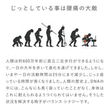 腰痛対策椅子 バランスシナジー