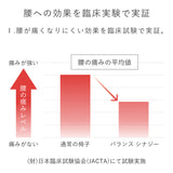 腰痛対策椅子 バランスシナジー