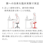 腰痛対策椅子 バランスシナジー