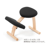 ラクに姿勢がよくなる椅子｜バランス イージー　バランスラボ