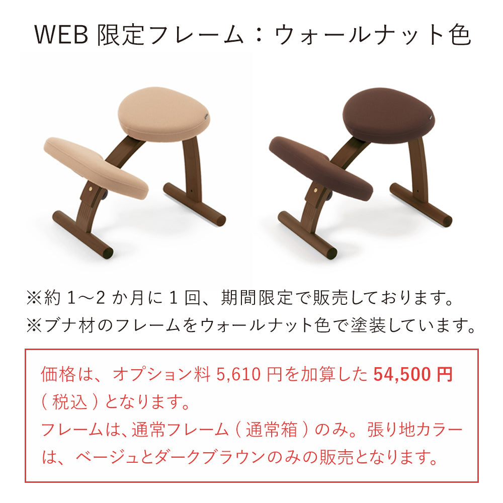 ラクに姿勢がよくなる椅子｜バランス イージー バランスラボ