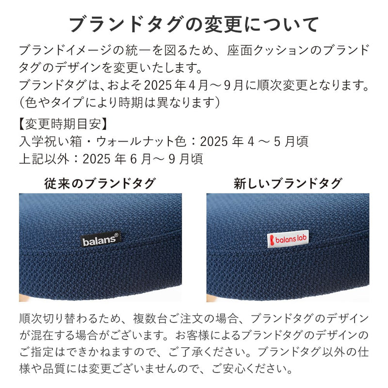 【公式アンバサダー専用注文ページ】ラクに姿勢がよくなる椅子｜バランスラボ　バランス イージー