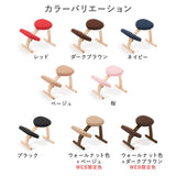 ラクに姿勢がよくなる椅子｜バランス イージー　バランスラボ
