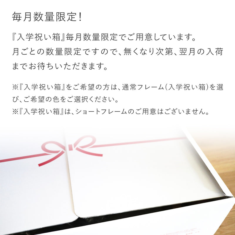 未使用保管品 バランスラボ バランスイージー 姿勢が良くなるイス 矯正 子供