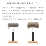 バランス シナジー専用｜シックカバー  クッションありタイプ