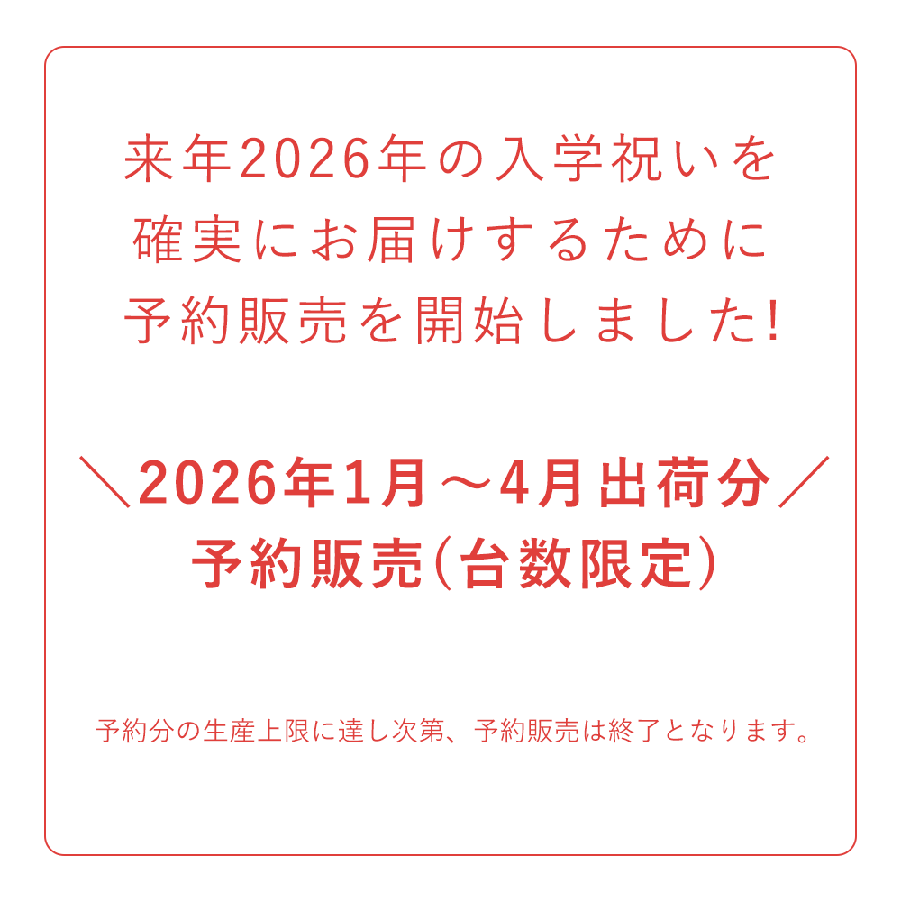 2026年分予約販売】ラクに姿勢がよくなる椅子|バランス 2026年分予約販売】ラクに姿勢がよくなる椅子|バランス