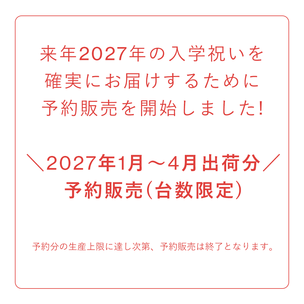 2027年分予約販売】ラクに姿勢がよくなる椅子|バランス イージー 2027年分予約販売】ラクに姿勢がよくなる椅子|バランス イージー