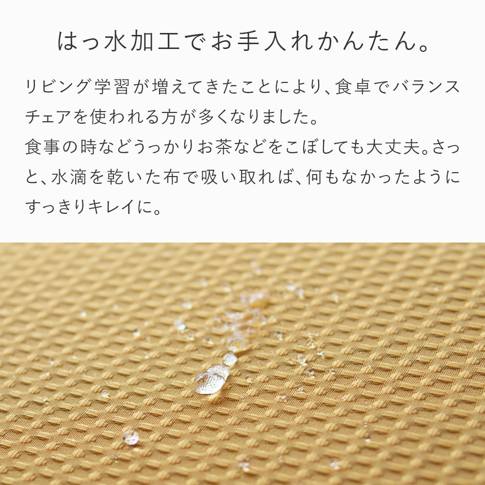 リボ社 バランスチェアイージー 替えカバー付き バランス イージー専用｜プレミアムニットカバーnew バランス