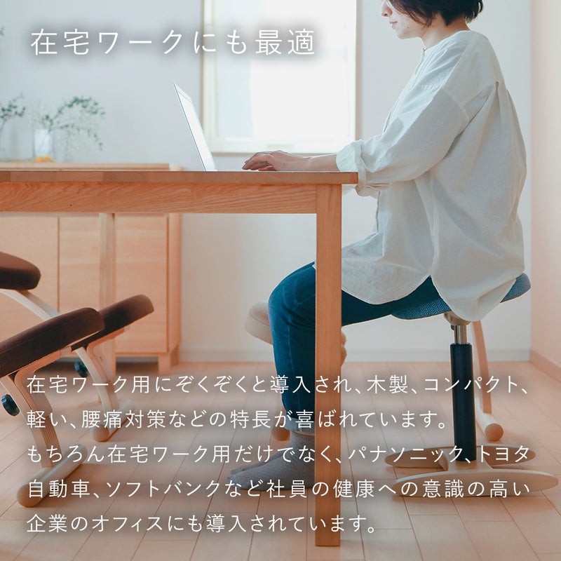 送料無料/即納】 腰痛対策椅子）バランスシナジースクエア（東京都江東 