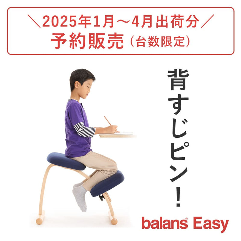 受付終了】【2024年分予約販売】ラクに姿勢がよくなる椅子｜バランス 