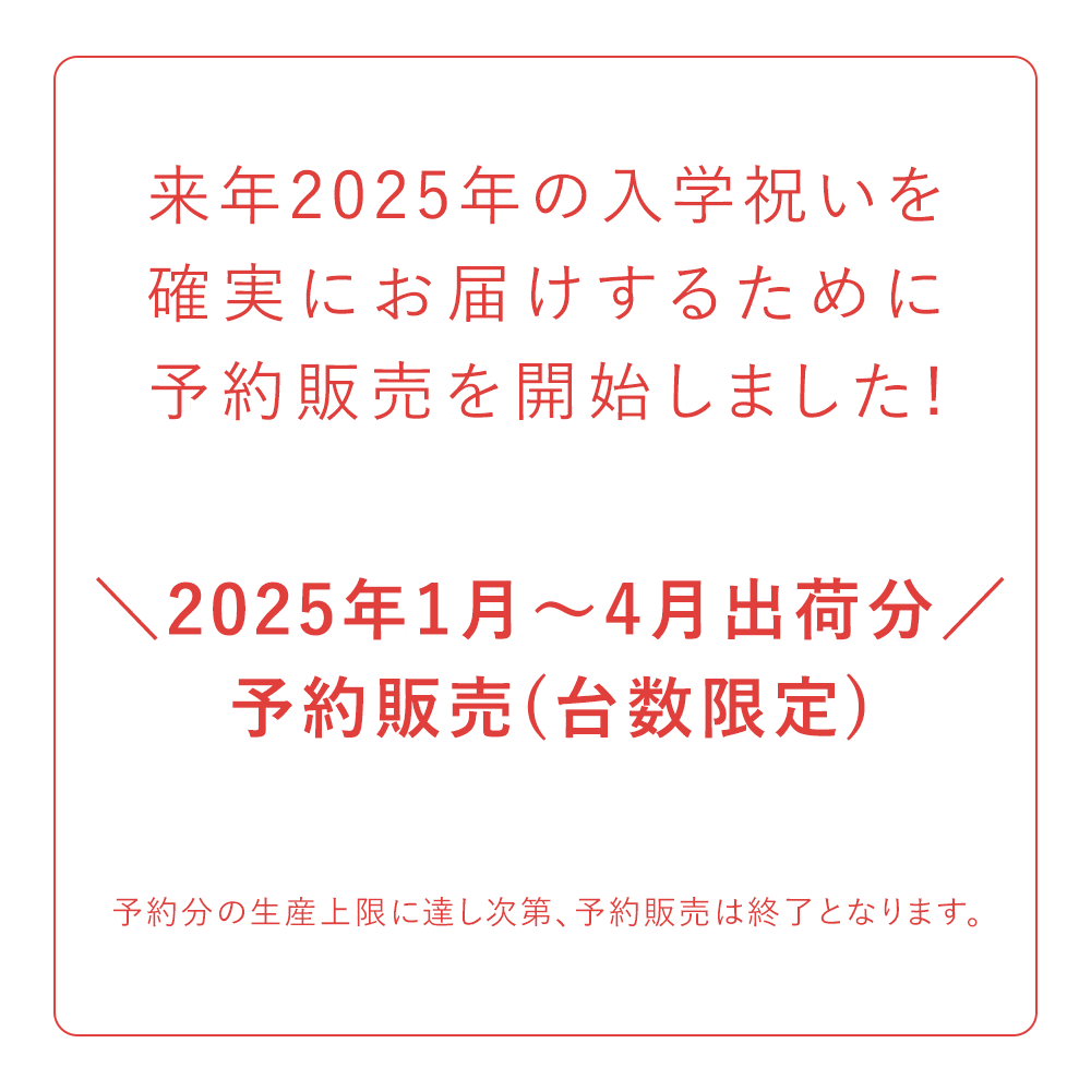 2025年分予約販売】ラクに姿勢がよくなる椅子｜バランス イージー バランスラボ – バランスチェアのbalans lab (バランスラボ) 公式サイト