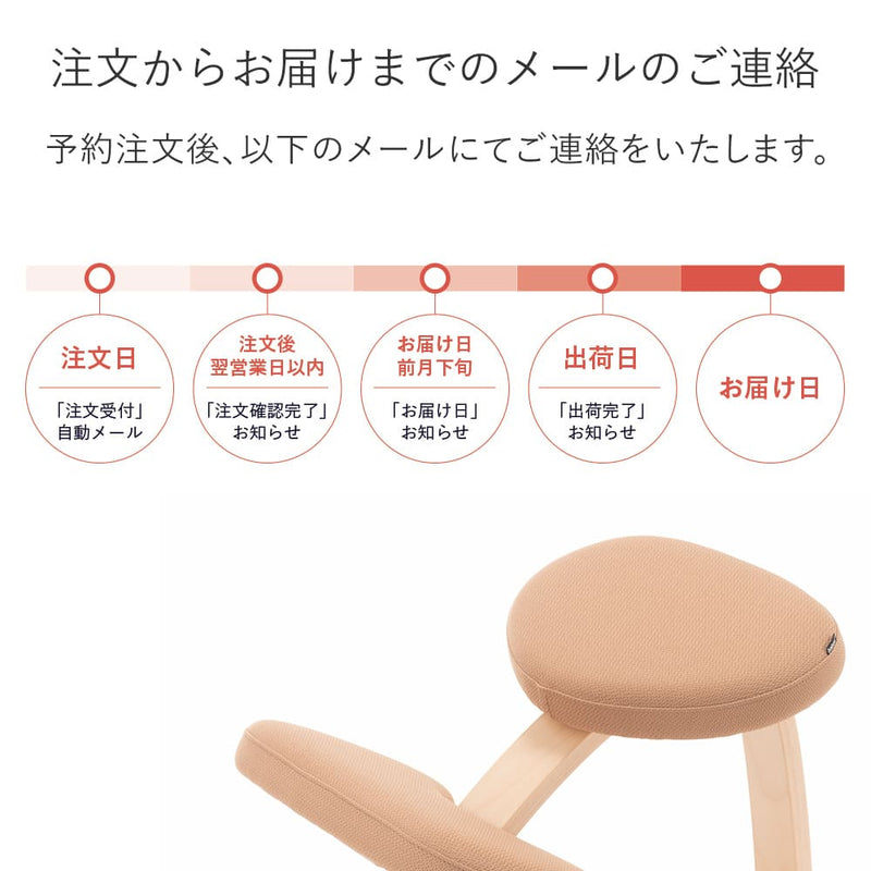 【2024年分予約販売】ラクに姿勢がよくなる椅子｜バランス イージー　バランスラボ